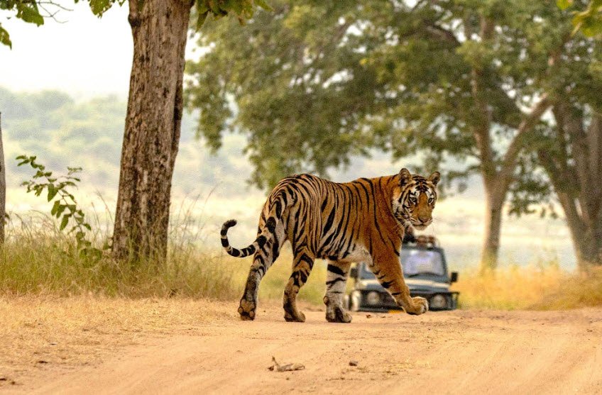 Ranipur Wildlife Sanctuary